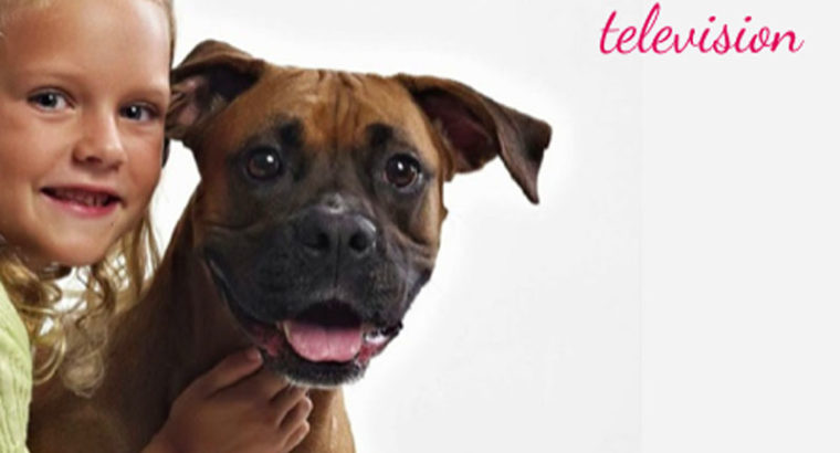 Hotdogs Animal Actors – Pets, Puppy & Dog Training