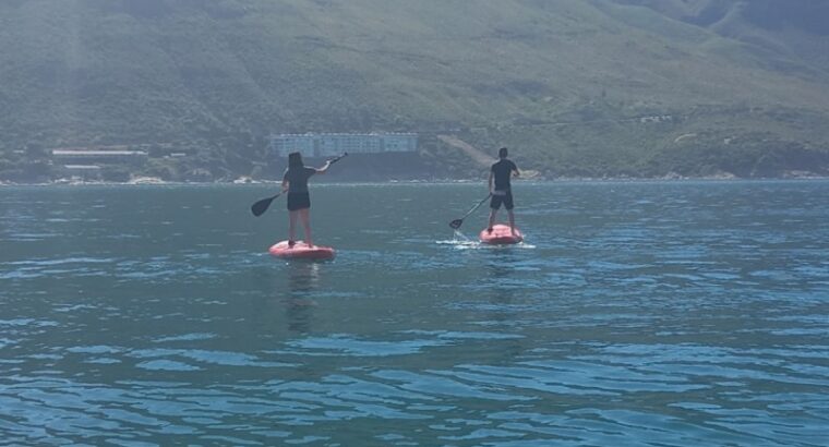 Oasis Sup and Swim Academy
