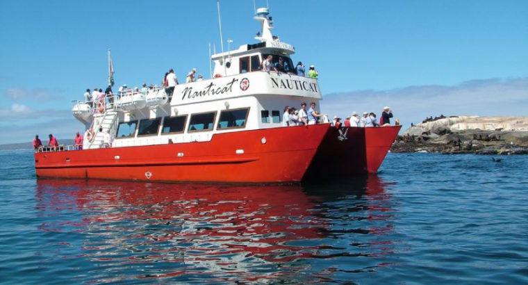 Nauticat Charters