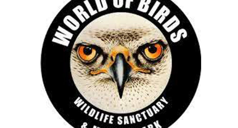 World Of Birds