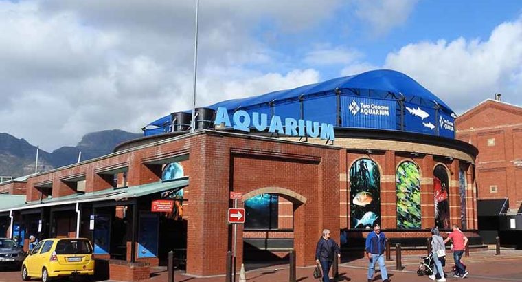 Two Oceans Aquarium