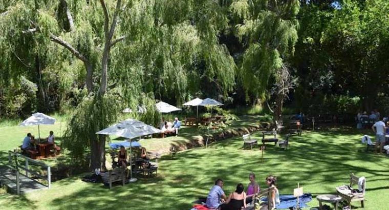 Eagles Nest Wines Constantia