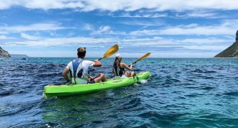 Kayak Adventures Cape Town
