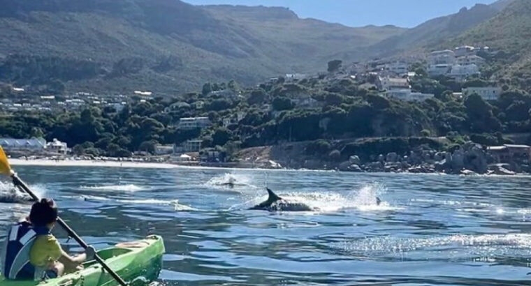 Kayak Adventures Cape Town