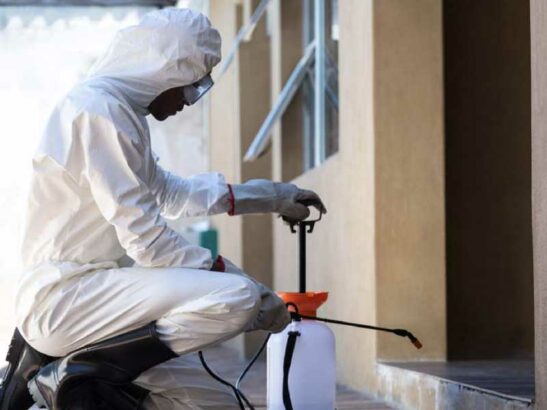 Quest Pest Control