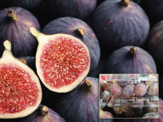 Figalicious Raw Honey, Figs Jams & Blueberries