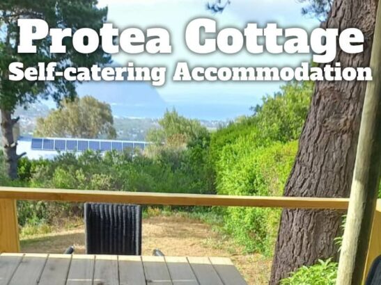 Protea Cottage Accommodation Hout Bay