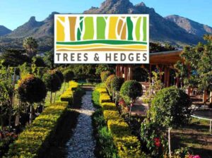 Trees and Hedges Nursery